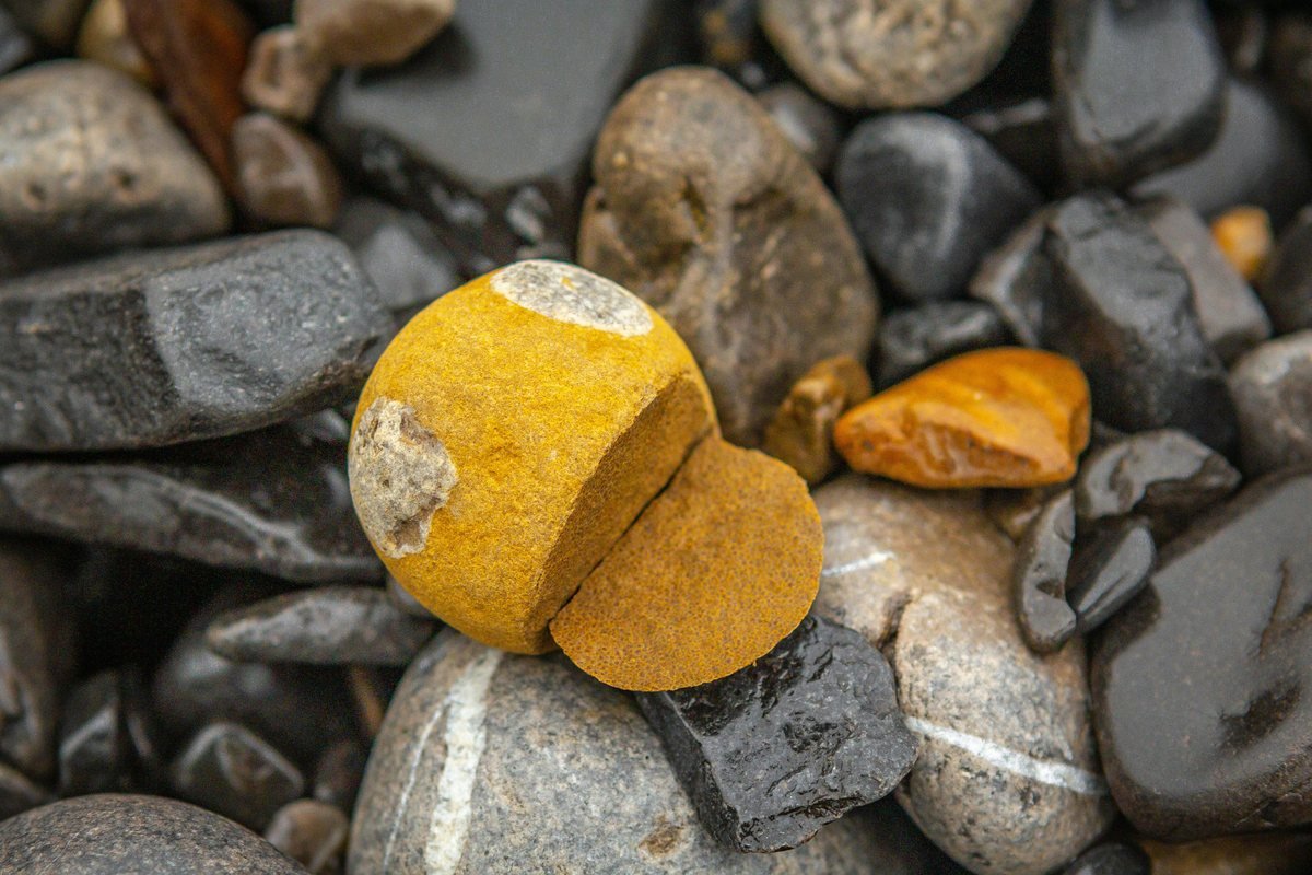 A stone split cleanly into fragments, illustrating how lithotripsy breaks a kidney stone apart